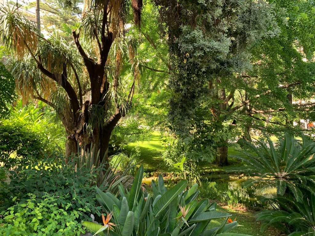 Jardin Exotique Monaco